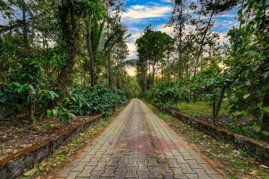Coorg Bliss Estate Stay Madikeri Exterior photo